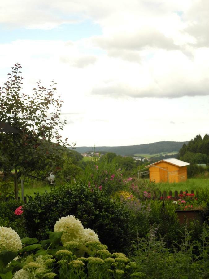 Villa Luzia Meuspath Εξωτερικό φωτογραφία